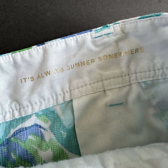 Lilly Pulitzer The Walsh Short “Agate Green Lazy River” Size 6 Blue - Picture 10 of 10